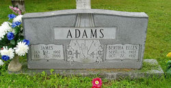 Bertha Ellen <I>Alexander</I> Adams 