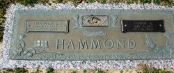 Fannie Rae <I>Austin</I> Hammond 