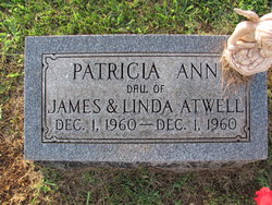 Patricia Ann Atwell 