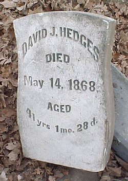 David Jones Hedges 