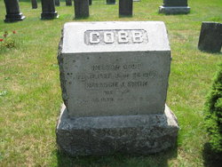 Nelson Cobb 