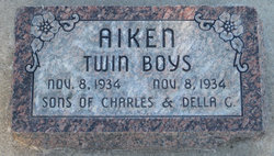 Aiken Twin Boys 