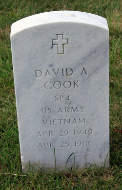 David A. Cook 
