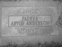 Arvid Henry Anderson 