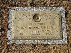 Landy Wood Chestnut 