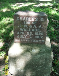 Charles E Wallace 