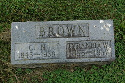 Tyrandia <I>Whortenbury</I> Brown 