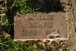 Mollie J. Beavis 