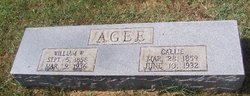 William Wesley Agee 