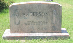 Robert Wilson Anderson 