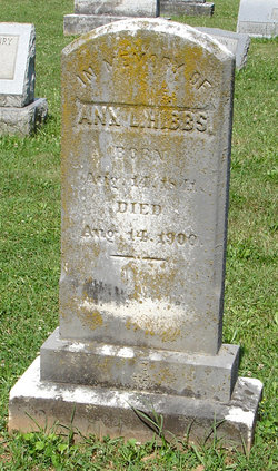 Ann L. Hibbs 