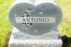 Harry J Antonio 