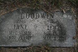 Mary Jane <I>Goodwin</I> Goodwin 
