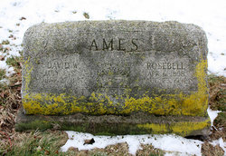 Rosebell <I>Watkins</I> Ames 