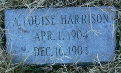 Annie Louise Harrison 