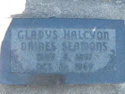 Gladys Halcyon <I>Daines</I> Seamons 