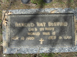 Harold Ray Blevins 
