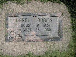 Darel Adams 