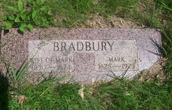 Mark Bradbury 