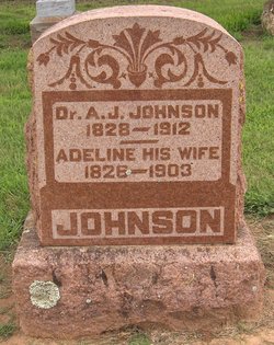 Dr Andrew J. Johnson 