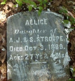 Allice Stroupe 