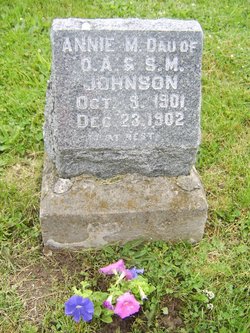 Annie Marie Johnson 
