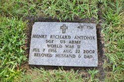 Sgt Henry Richard Antonik 