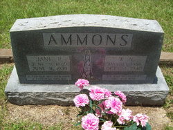Jane P. <I>Green</I> Ammons 