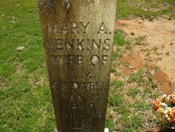 Mary Ann <I>Jenkins</I> Caldwell 