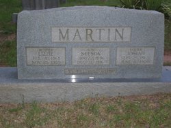 Martha Elizabeth “Lizzie” <I>Cook</I> Rodrick Sutton Martin 