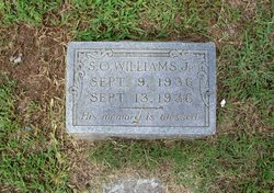 S. O. Williams Jr.