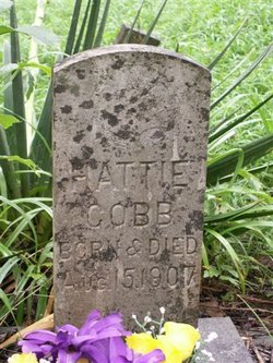 Hattie N. Cobb 