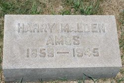 Harry Malden Amos 