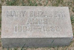 Mary Elizabeth <I>Koontz</I> Amos 