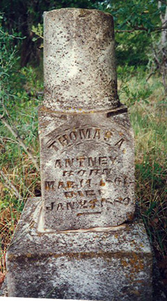 Thomas A. Antney 