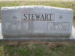 Mary Elizabeth <I>Cleveland</I> Stewart 