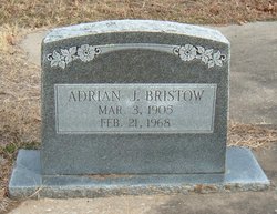Adrian J Bristow 