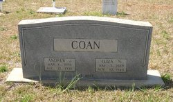 Eliza N Coan 