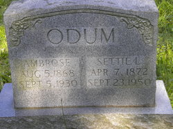Ambrose M Odum 