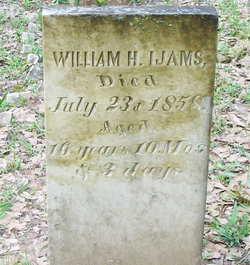 William H Ijams 