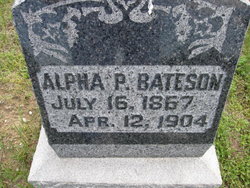 Alpha P Bateson 