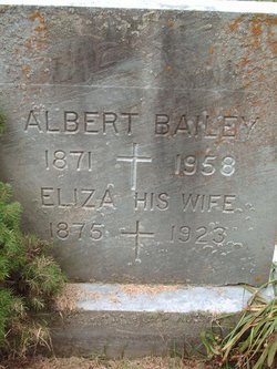 Albert A. Bailey 