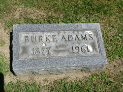 David Burke Adams 