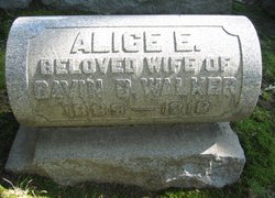 Alice E Walker 