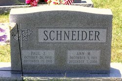 Ann M. <I>Vetter</I> Schneider 