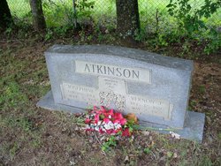 Vernon J. Atkinson 