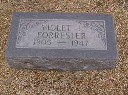 Violet Lilly <I>Sonendriker</I> Forrester 