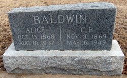 Alice Mary <I>Haynes</I> Baldwin 