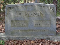 Sallie B. <I>Allport</I> Atkinson 
