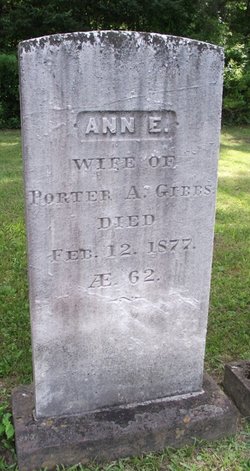 Ann E Gibbs 